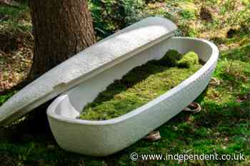Sydney woman becomes first in Australia to be buried in mushroom coffin