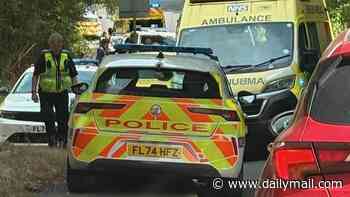 Man, 55, died from complications of a leg wound after 'being bitten by Alsatian-cross in row over right of way', inquest hears