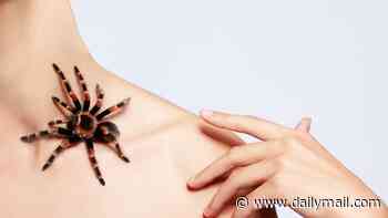Do you feel like there are insects crawling on your skin or something on your face that's not actually there? DR SCURR reveals the disturbing condition - with no obvious trigger - that's to blame