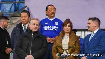 Cardiff City transfer misfire hammers home calls to make major appointment