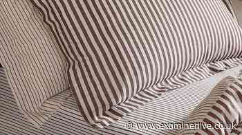 Dunelm shoppers snap up 'cosy' autumn duvet set that's 'heavenly to sleep in'