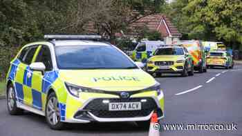 Four arrested over 'murder' as 3-month-old baby dies while 'camping with family'