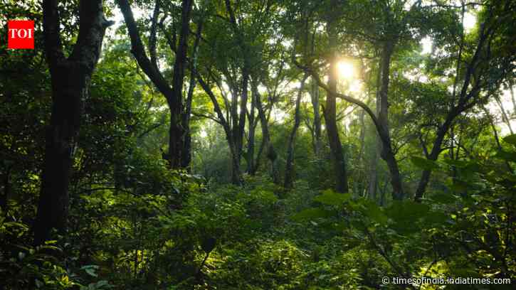 They bought 35 acres of barren land near Ranthambore, years later, it became a refuge for Tigers and wildlife