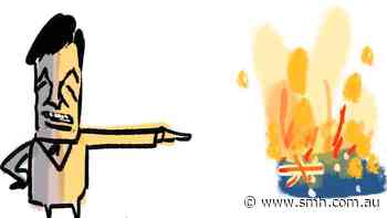 Best of cartoons, September 8, 2026