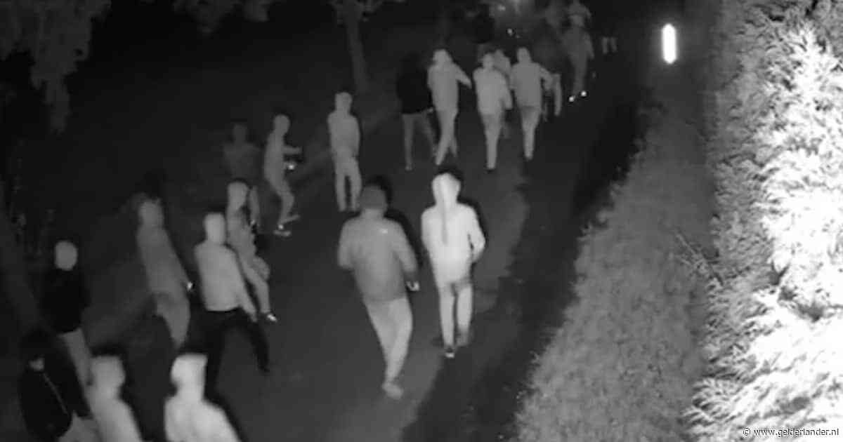 Van gewelddadige gijzeling van bejaarde tot WhatsAppfraude: hiervoor had politie verdachten Overasselt eerder in beeld