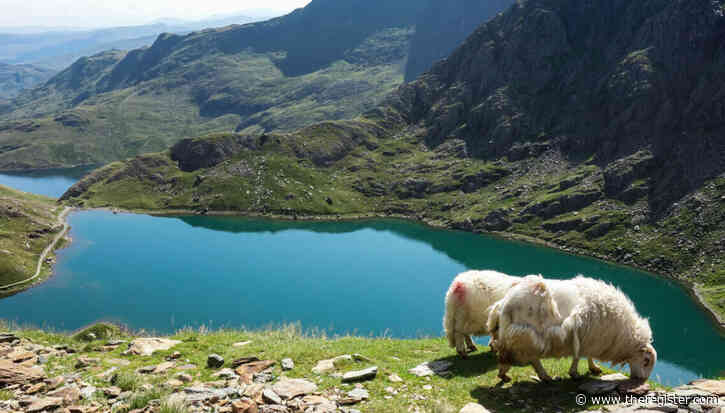 Welsh environment regulator's FoI blunder exposes diversity data of 2,000 staff