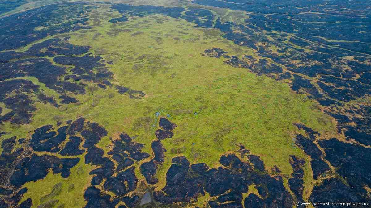 Incredible drone images show 'signs of hope' on fire-ravaged Dovestone moorland