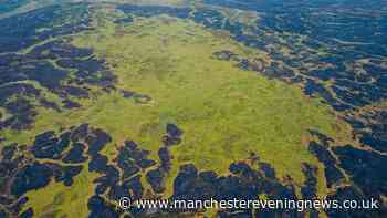 Incredible drone images show 'signs of hope' on fire-ravaged Dovestone moorland