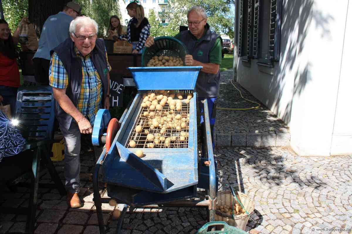Seltene Maschine ist der Hit beim Fraureuther Traktorentreffen