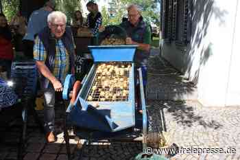 Seltene Maschine ist der Hit beim Fraureuther Traktorentreffen