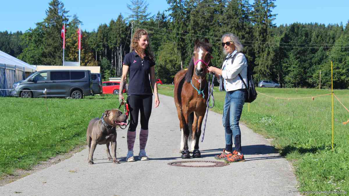 Ross und Reiter glücklich beim Kinsauer Wanderritt