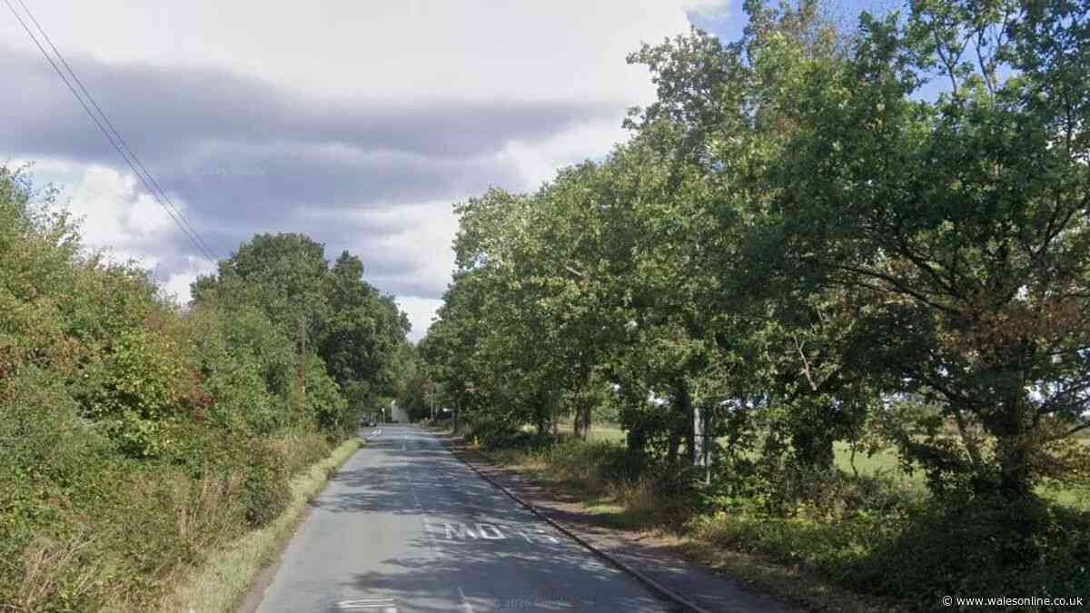 Four arrested on suspicion of murder after death of three-month-old baby while camping