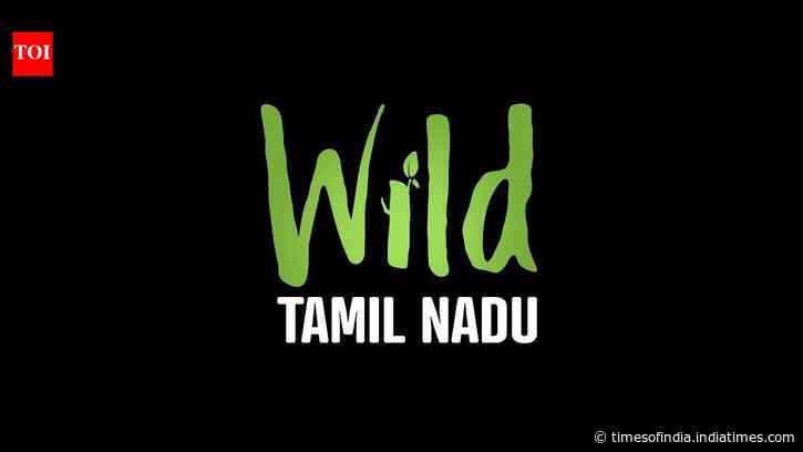 Wild Tamil Nadu - Official Trailer​​​​​​​​​​​​​​​​​​​​​​​​​​​​​​​​​​​​​​​​​​​​​​​​​​