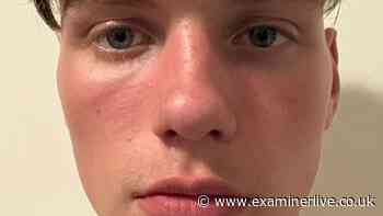 Live as police search launched for missing boy - updates