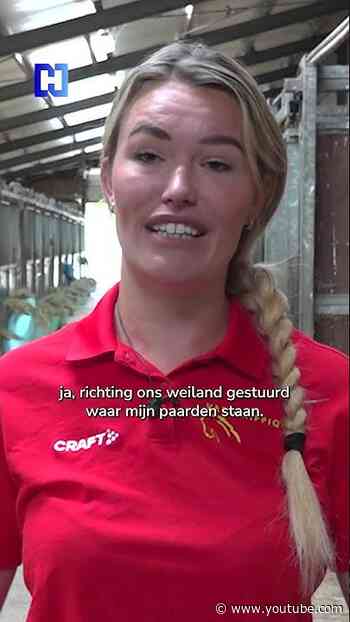 Twaalf paarden rennen de A9 op