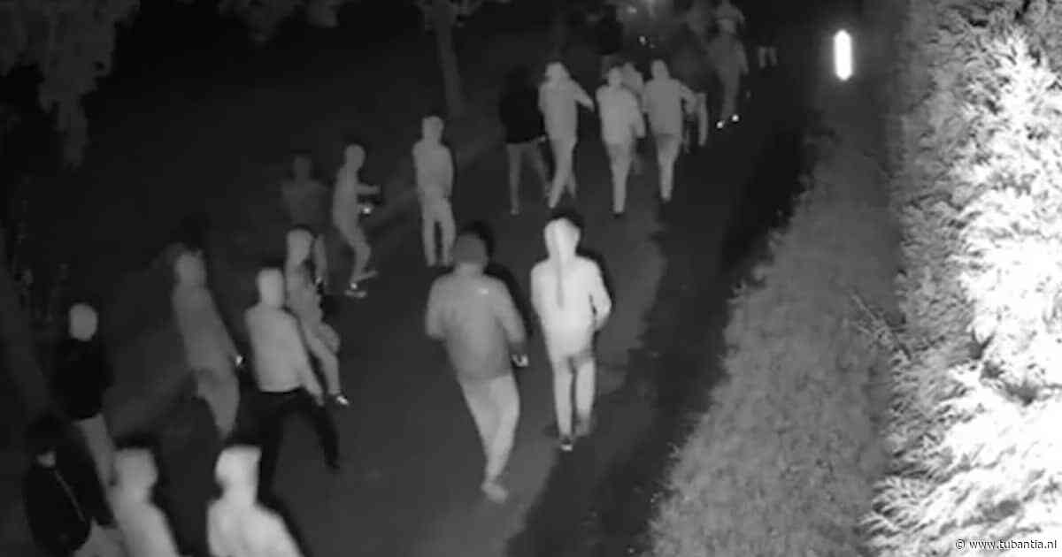 Van drugsgeweld en gewelddadige gijzeling van bejaarde tot WhatsAppfraude: hiervoor had politie verdachten Overasselt eerder in beeld