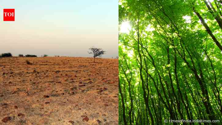 In 2007, Dr Shankar Lal Garg bought 22 acres of rocky land near Indore, today it has 40,000 trees