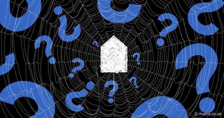 Why are there so many spiders in your home right now?