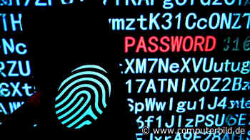 Berliner Verwaltung gehackt: Das sollten Betroffene tun
