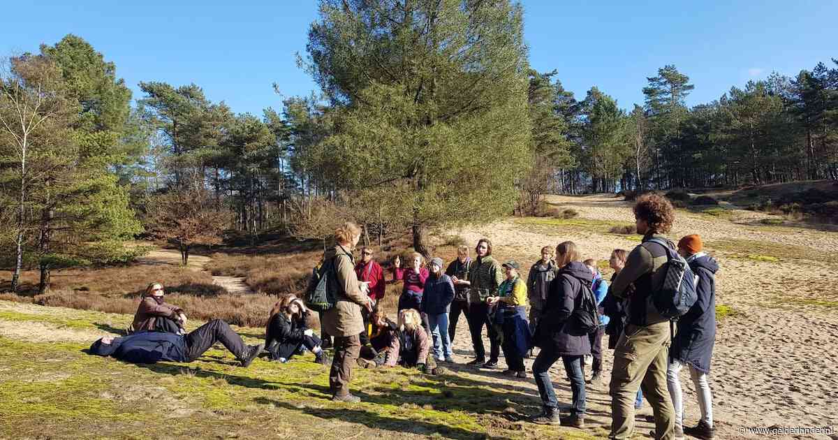 Groen Traineeship laat jongeren nachtleven van Veluwe onderzoeken
