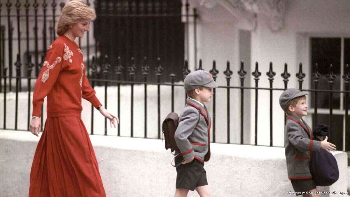 Eigener Diana-Film? Prinz Harrys Plan sorgt für neuen Zoff