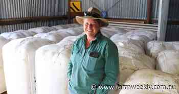 'Wool cut is king': the family mantra driving Wendouree Downs' success