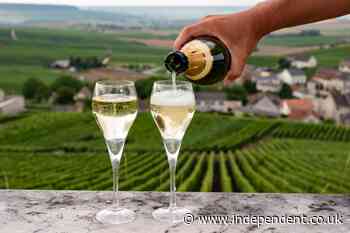 France’s wine harvest devastated by heatwaves as Champagne production halves