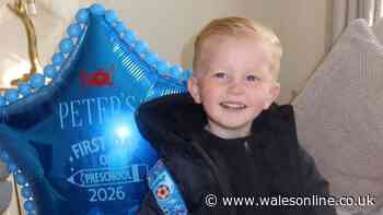 Tragedy as boy, 2, dies in 'hit-and-run' days after starting pre-school