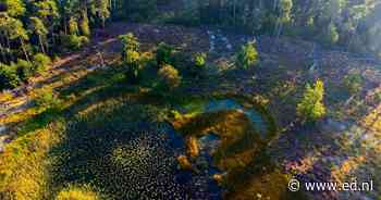 De hort op? Herfstwandeling over De Groote Heide in Valkenswaard