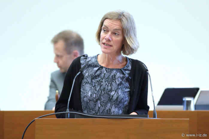 Der Stadtrat tagte: Wie ein Antrag zur Demokratieförderung einen AfD-Stadtrat zu wilden Beleidigungen animierte + Video