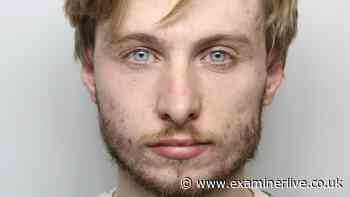 'Lonely' paedophile sexually abused girl at Airbnb after year of grooming