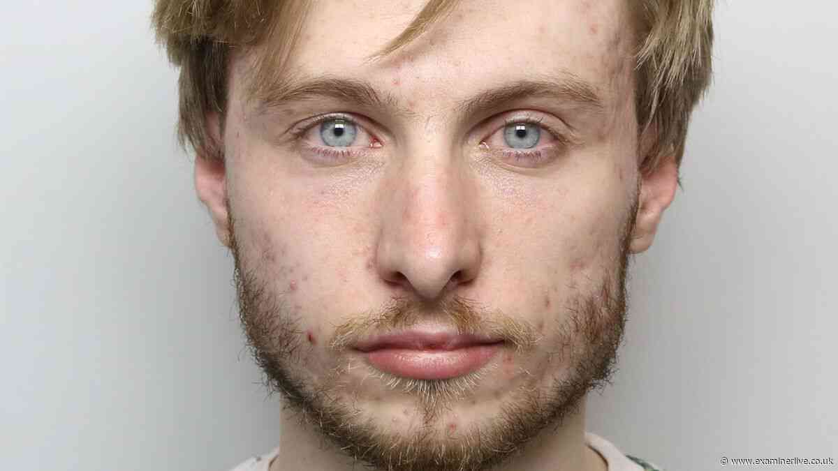 'Lonely' paedophile sexually abused girl at Airbnb after year of grooming