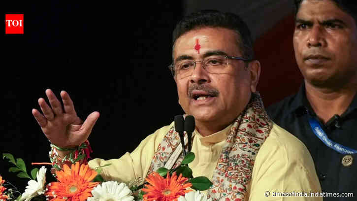 'I apologise': Bengal CM Adhikari after govt ad sparks row over 'distorted' Durga image