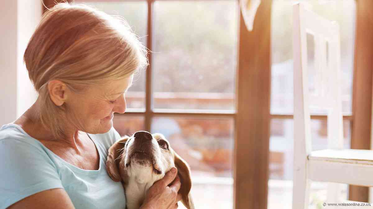 Pet crematorium business seeks to open in Cardiff