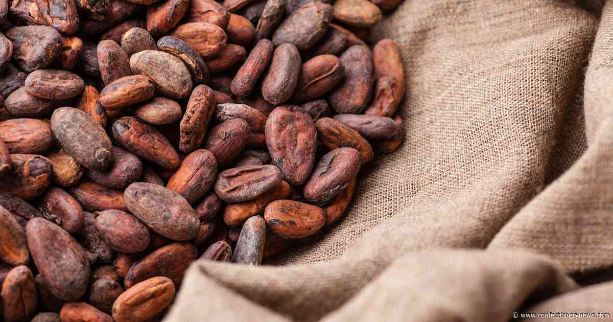 Mars pumps $13m into future talent and farmer resilience