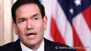 Marco Rubio's mystery wordsmith unmasked: Aide axed over Nazi symbol video now pens US foreign policy