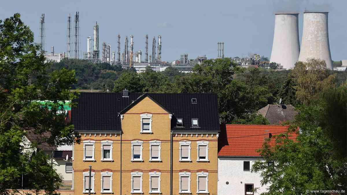 Wahl in Sachsen-Anhalt: Arbeitgeber warnen vor "Klima der Abschottung"