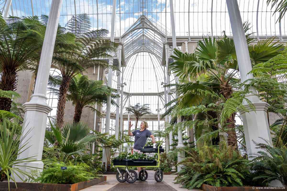 Tickets to visit Victorian Palm Houses on sale after five-year closure