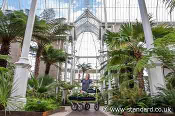 Tickets to visit Victorian Palm Houses on sale after five-year closure