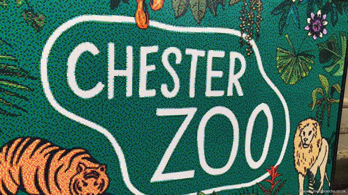 Chester Zoo expecting thousands for biggest event to date
