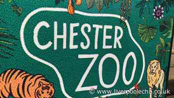 Chester Zoo expecting thousands for biggest event to date