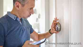 Turning heating back on could bring disease-carrying bugs 'out of hiding'