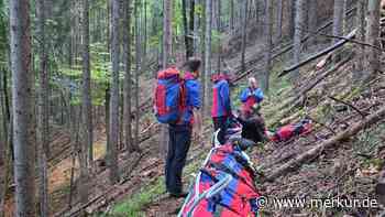 Lebensgefahr durch Wespen-Attacke: Notarzt rettet Wanderin (45) am Spitzingsee