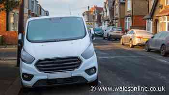 Van driver gets slapped with 3-word note after controversial parking decision