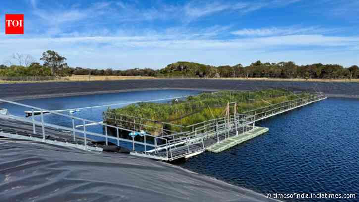 In 2023, Australia put a 330-square-metre floating wetland on a wastewater lagoon