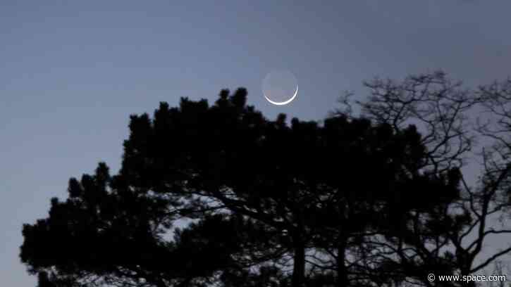 The moon will hide Jupiter in broad daylight on Sept.8 — here's how to see it
