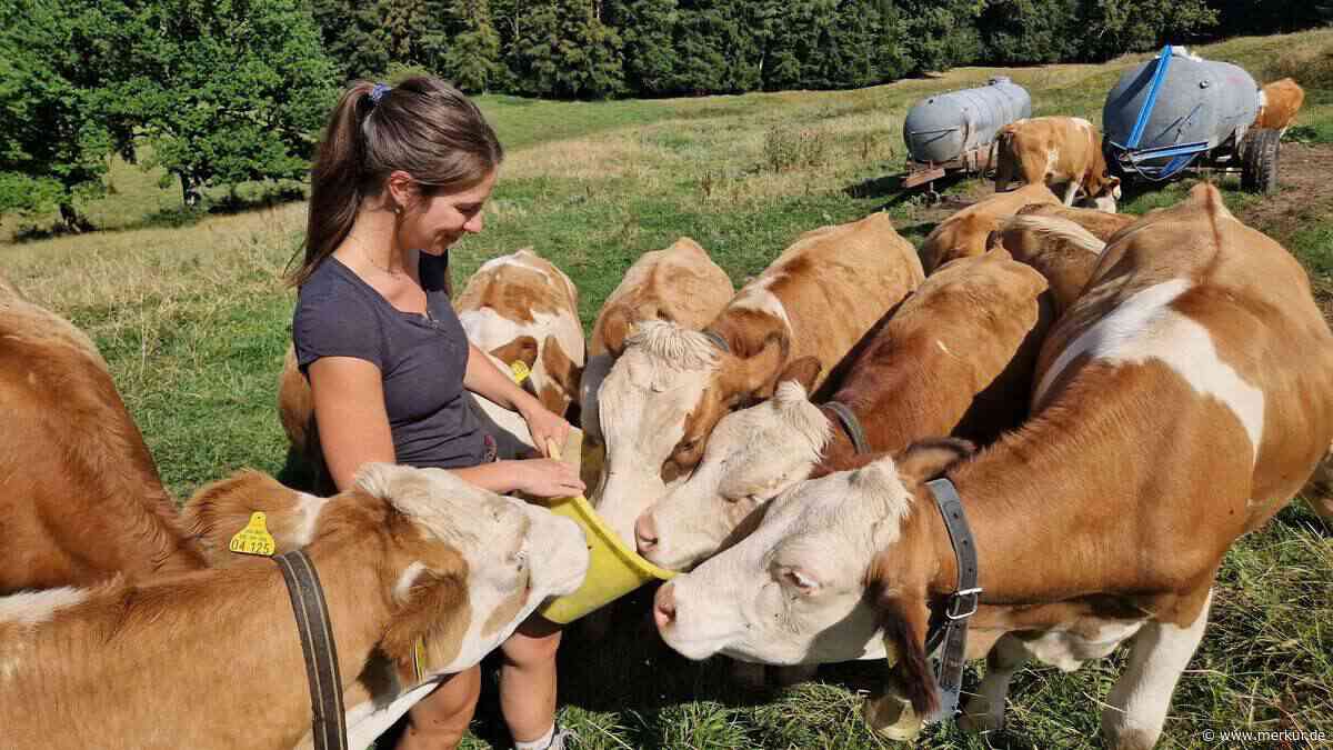 „Man muss seinen eigenen Weg finden“: Junge Öko-Landwirtin entwickelt Zukunftspläne für Familienbetrieb