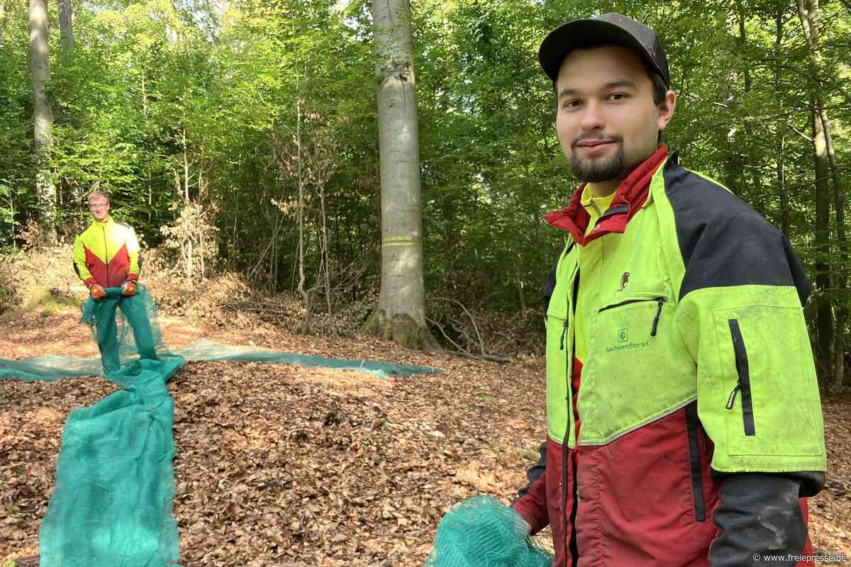 „Natur pur“: Warum Richard Jähnig aus dem Erzgebirge Forstwirt werden wollte