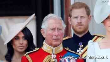 King Charles confirms Harry and Meghan as non-working royals after UK return
