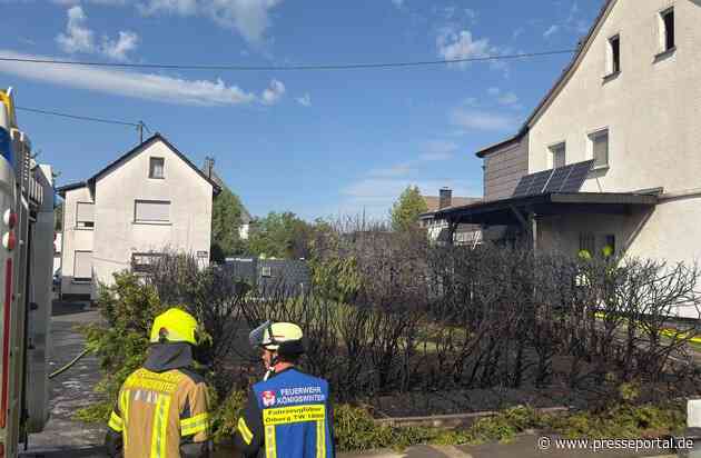 FW Königswinter: Brennende Thujahecke in Königswinter-Berghausen schnell gelöscht